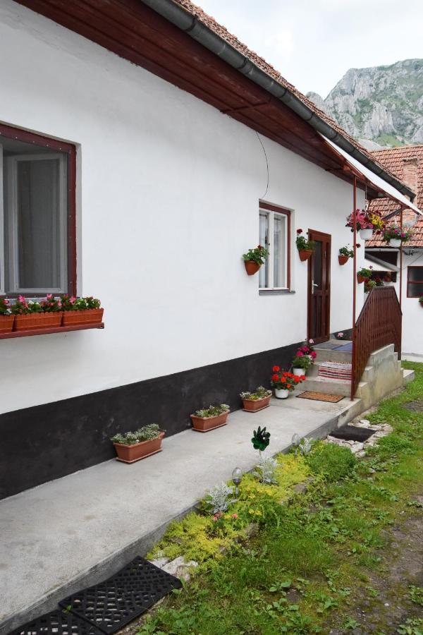 Casa De Vacanta Harsfa Vendeghaz Риметя Экстерьер фото